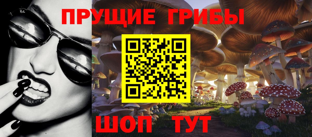 Саров  Псилоцибиновые грибы мицелий  Вход с VPN 